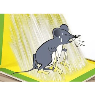 KEO DÁN CHUỘT SIÊU DÍNH ĐÃ CÓ MỒI