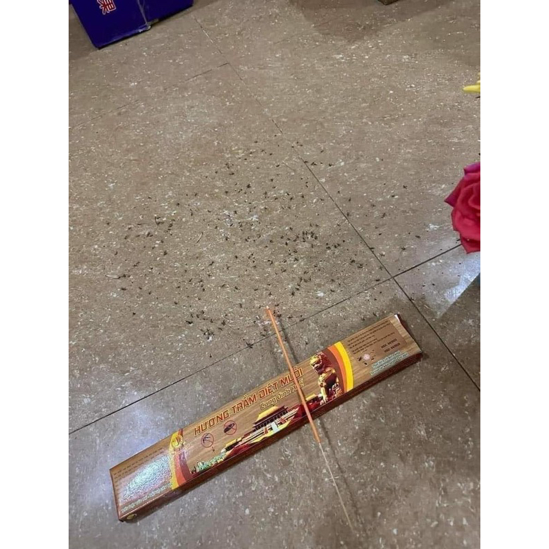combo 2h nhang trừ muỗi