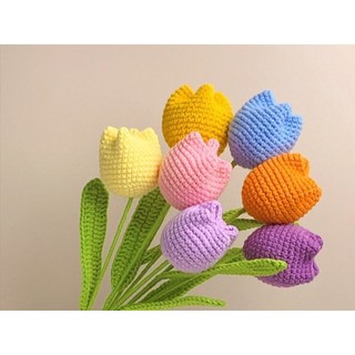 Hoa tulip len