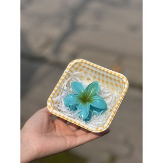Kẹp tóc hoa sứ (hộp quà tặng kèm thiệp)