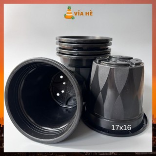 Chậu nhựa cứng tròn đen lớn trồng cây cảnh kiểng lá 17x16cm