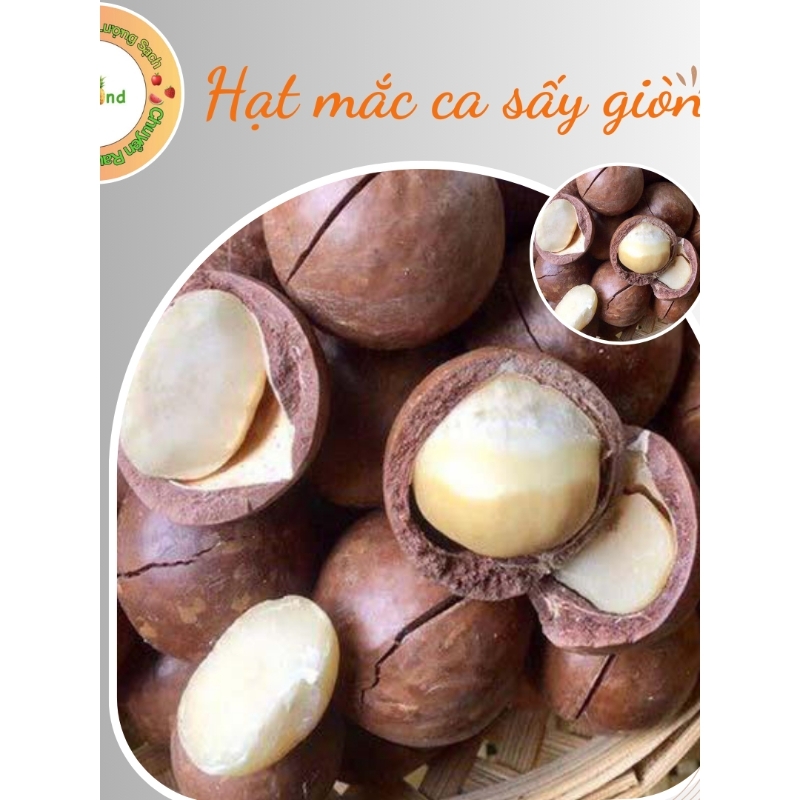 Hạt Mắc Ca sấy 500gr
