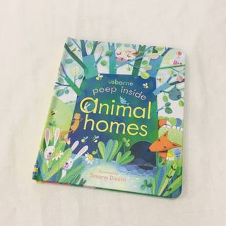 Sách - usborne peep inside animal homes - cho bé từ 5 tuổi