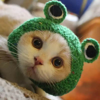 Mũ len cực xinh cho thú cưng 🥰