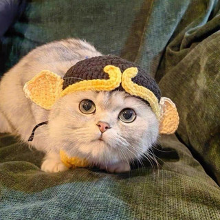 Mũ len cực xinh cho thú cưng 🥰
