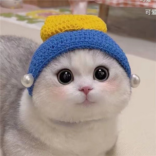 Mũ len cực xinh cho thú cưng 🥰