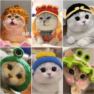 Mũ len cực xinh cho thú cưng 🥰
