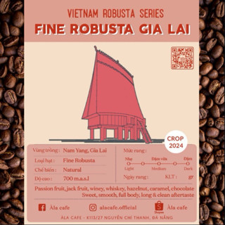 (83.25 CQI)Cà phê chuẩn Fine Robusta Gia Lai Top 5 Fine Robusta Việt Nam