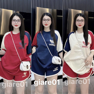 Set Bộ Thun Đùi Nữ Cotton 3 Lá Siêu Hot