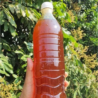 Mật Ong Hoa Nhãn Nguyên Chất PM - (1 lít)