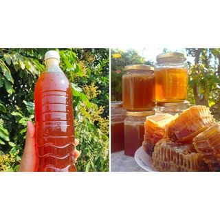 Mật Ong Hoa Nhãn Nguyên Chất PM - (1 lít)