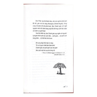 Sách - Dưới Cội Bồ Đề -  Vanlangbooks