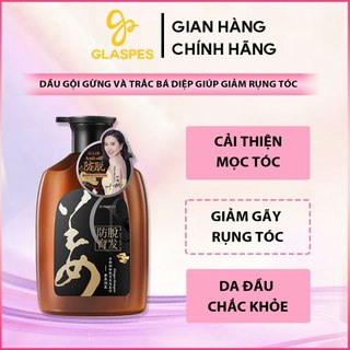  Dầu Gội Chiết Xuất Gừng và Trắc Bá Diệp Glaspes 500ml Giúp Mọc Tóc Giảm Gàu Rụng Tóc Và Giúp Tóc Chắc Khỏe 
