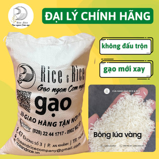 Túi 5kg gạo bông lúa vàng nam định - hạt cơm dẻo mềm, ngọt cơm - rice&rice