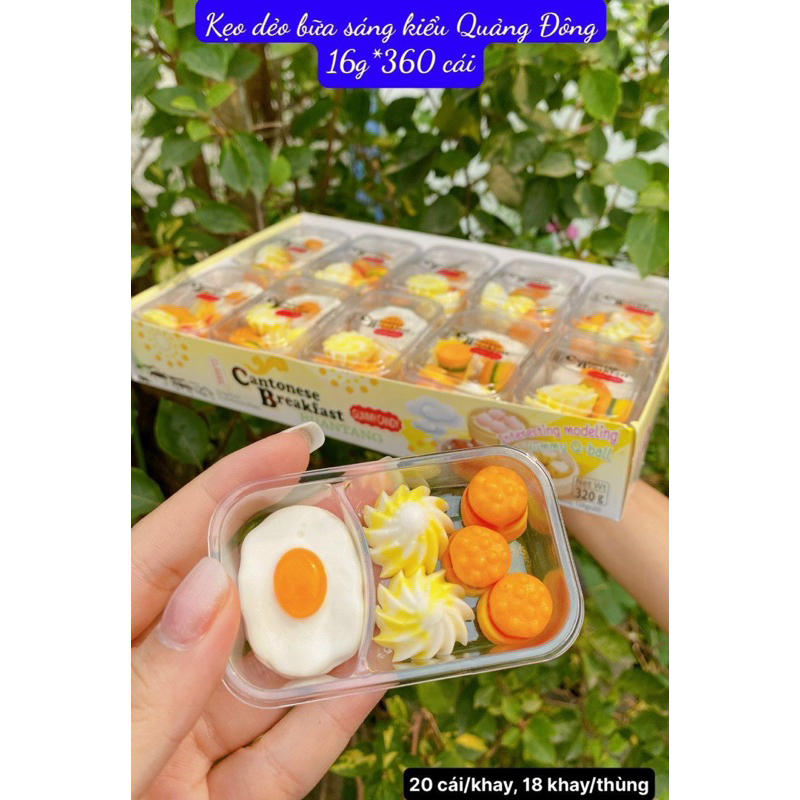 sỉ 20hop dẻo khay