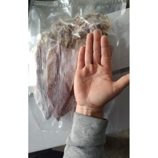 10 CON MƯC TO NHƯ HÌNH