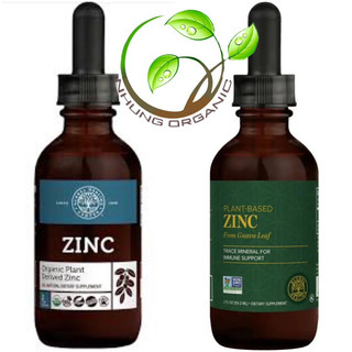 [Mẫu mới] Kẽm Thực Vật Zinc Global Healing 60ml