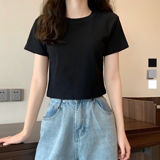 Aó Thun Croptop trơn basic freesize co giãn 4 chiều