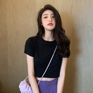 Aó Thun Croptop trơn basic freesize co giãn 4 chiều