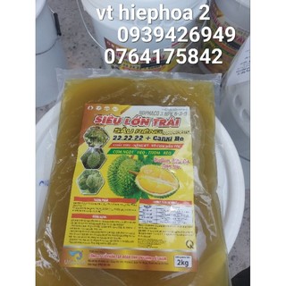 Túi siêu lớn trái 22_22_22