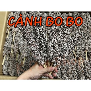 Cành bo bo trắng nguyên hạt cho hamster - cành bo trang trí chuồng hamster - cành bo mài răng