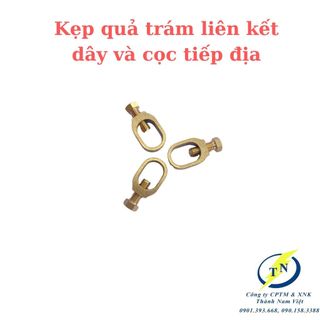 Kẹp đồng quả trám, Kẹp liên kết dây và cọc, Kẹp đồng xiết cáp, Kẹp cọc và cáp, Kẹp đồng nguyên chất,Kẹp đồng đặc chủng