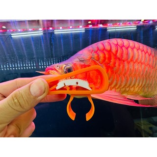 🔴phukiencarong.vn | kẹp đèn mayin, t5, t8, t10 no1 treo giằng đèn hồ cá