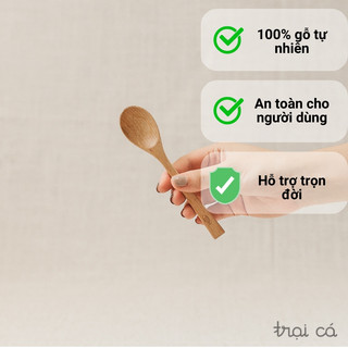 Thìa gỗ oval nhỏ (14cm) gỗ trắc / gỗ beech