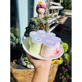 10 Hũ sữa chua 60 ml