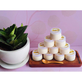 Combo 500 hũ sữa chua lùn 100 ml