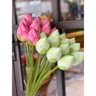   HOA GIẢ  Cành búp sen lụa cao 70cm - Decor phòng khách ao hồ sân vườn phụ kiện chụp ảnh 