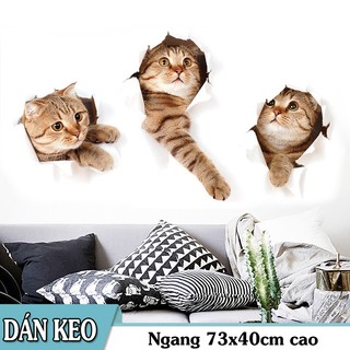 Decal trang trí tường - 3 Con Mèo 3D siêu phá