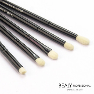 Bộ cọ mắt Bealy 5 cây