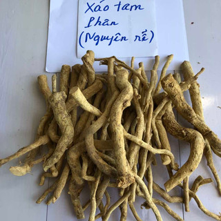 Xáo tâm phân Núi Chúa Khánh Hòa_Ninh Thuận _ nguyên rễ khô, sạch.