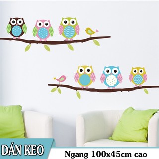 Decal trang trí tường - Cành Cây và Bày Chim Cú Mèo Sắc Màu