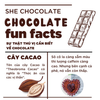 Socola vị gừng 60g SHE Chocolate