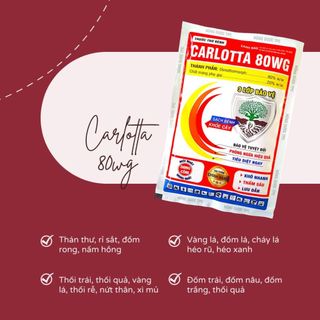 Carlotta 80wg, phòng ngừa thối rễ sầu riêng, đốm rong sầu riêng, nấm hồng sầu riêng, xì mủ sầu riêng, gói 100gr/200lít