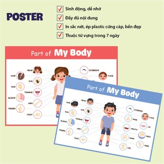 Học liệu Tiếng Anh - Poster Bộ phận cơ thể người, body part