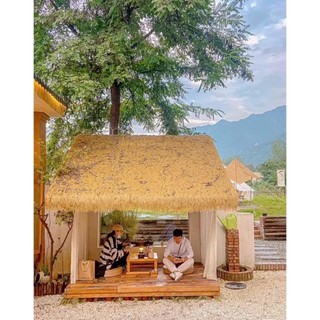 Cỏ rơm vàng - cuộn 20 mét vuông - cỏ lợp mái, decor trang trí cổng chòi, chống nóng hiệu quả