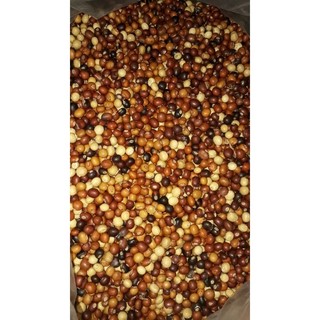 hạt đậu rồng già.