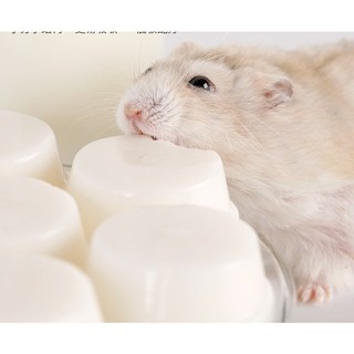 pudding sữa dê cho hamster , sóc, nhím, thỏ, bọ - T3 PETS SHOP
