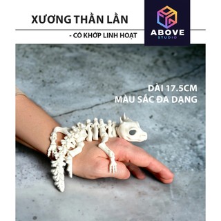 Mô hình đồ chơi Xương Thằn Lằn cách điệu có khớp linh hoạt