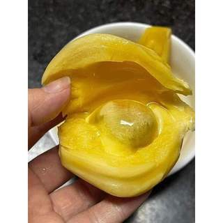 Cây giống mít dai ta ( chuẩn giống )