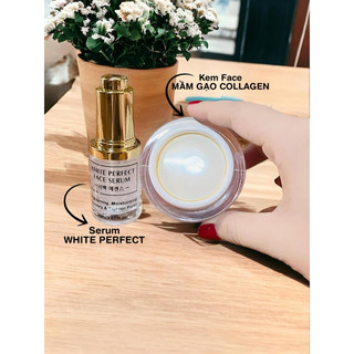 Combo Serum &Face Mầm Gạo Collagen
