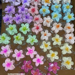 Kẹp hoa sứ 8cm hình thật shop chụp