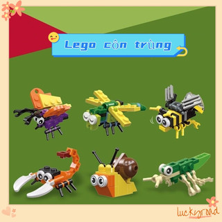 Bộ đồ chơi lắp ráp mô hình nhiều loại côn trùng