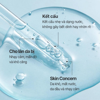 Serum Cấp Ẩm Phục Hồi Da TORRIDEN DIVE IN