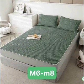 Chiếu điều hòa Tencel Latex từ cao su non êm mát hàng đẹp . tặng kèm 2 vỏ gối