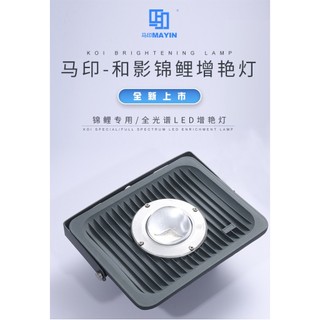 Đèn rọi mayin cho hồ cá koi ngoài trời
