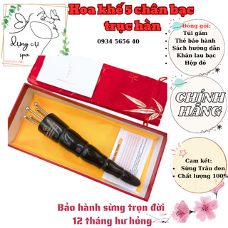 Hoa Khế Bạc 5 Chân - Dụng Cụ Diện Chẩn - Huyền Diện Chẩn